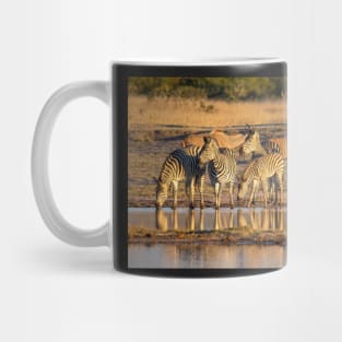 Zebras at Waterhole, Hwange National Park, Zimbabwe Mug